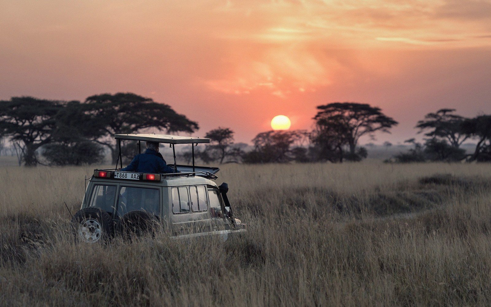 A Guide to Kenya's Great Parks